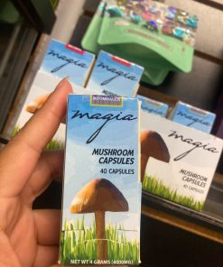 mushroom capsules
